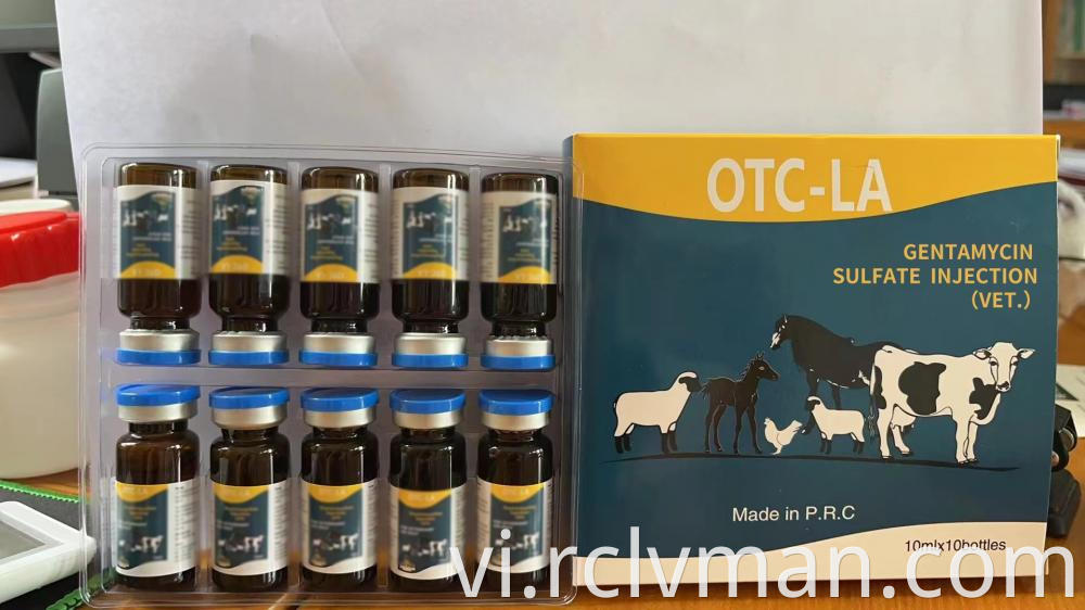Gentamycin Sulfate Injection 2